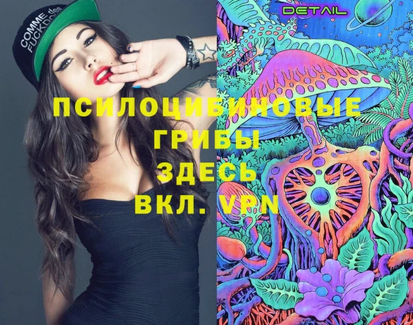 синтетический гашиш Няндома