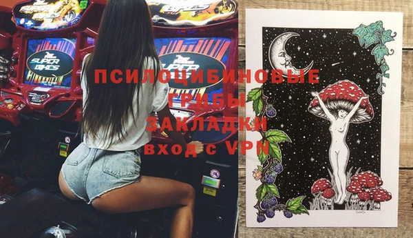 прущие грибы Беслан