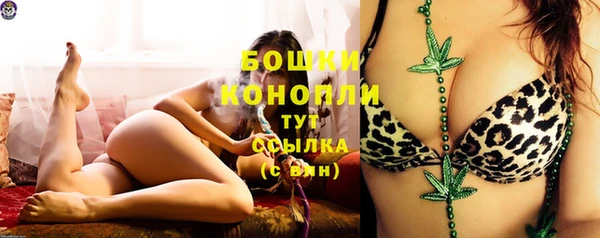 mdpv Новозыбков