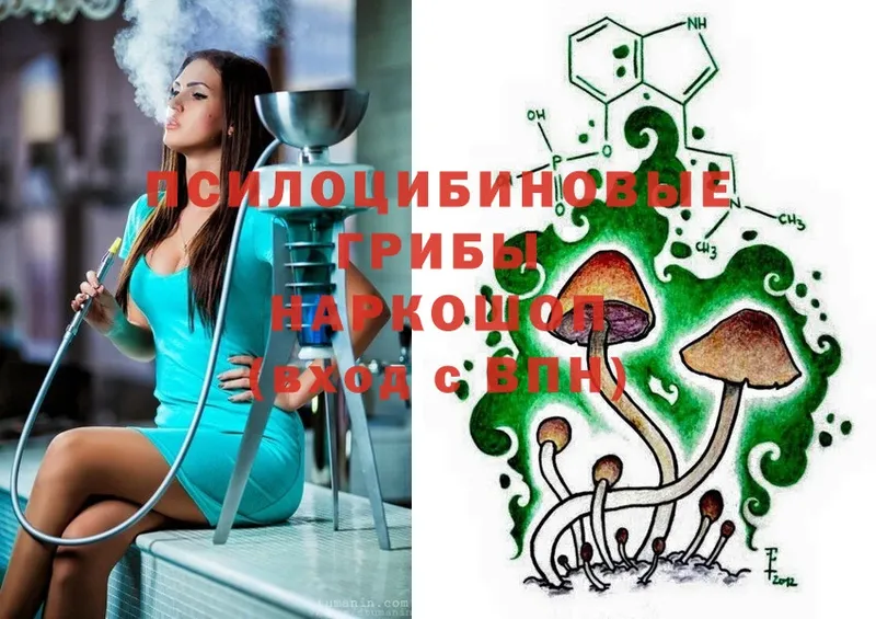 Галлюциногенные грибы Cubensis  Новомичуринск 