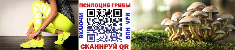 Псилоцибиновые грибы мухоморы  мориарти Telegram  Новомичуринск 